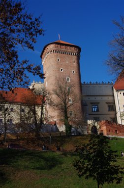 Wawel Kalesi sonbaharında, Krakov, Polonya