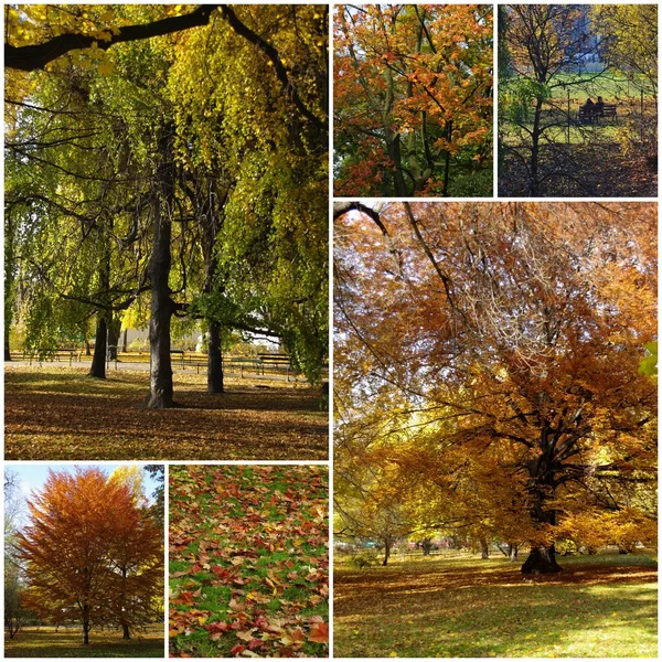 Outono em Cracóvia - uma colagem de fotos — Fotografia de Stock