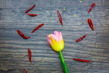 çiçek ve kırmızı biber