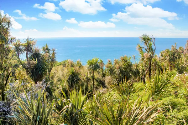 Laguna de playa tropical con palmeras . — Foto de Stock