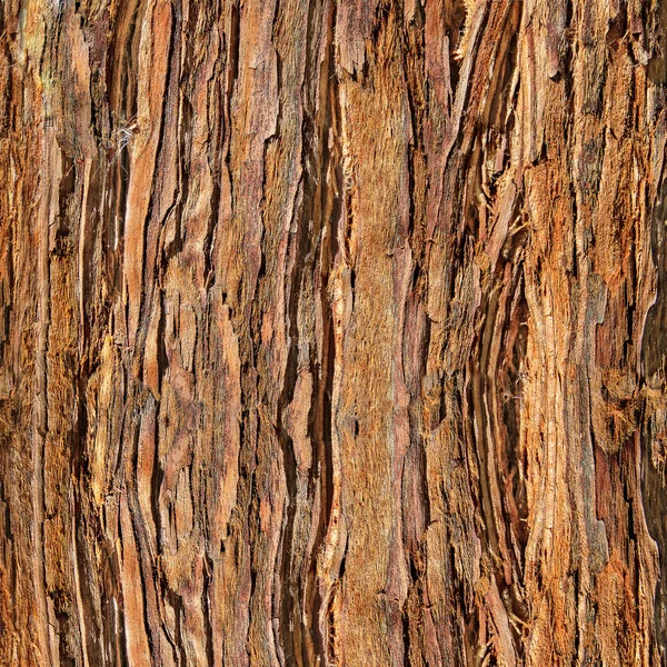 Zblízka Redwood kůry — Stock fotografie