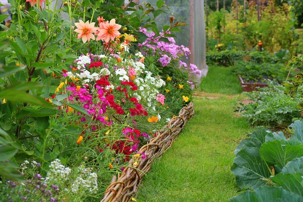 Ideas para el jardín - cama de flores —  Fotos de Stock