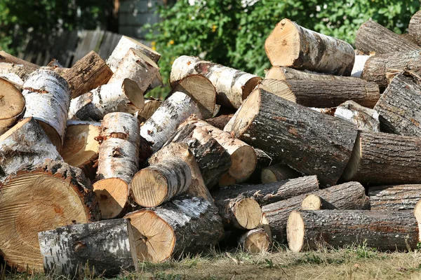 Dry chopped firewood logs in pile. Nature background. — Stock Photo, Image