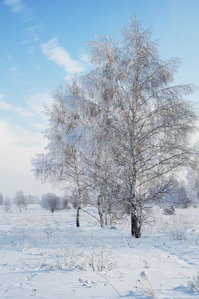 Landschap in sneeuw tegen blauwe hemel. winters tafereel. — Stockfoto