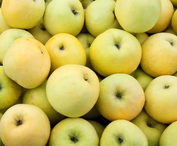 Giallo succosa fresco mele sfondo — Foto Stock