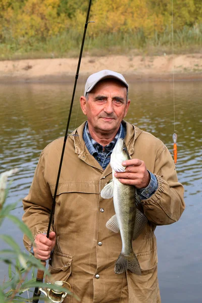 Old fisherman and his catch - zander — Stock Photo, Image