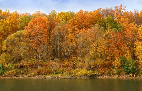 Bosque de otoño en la orilla del río y su reflejo en el —  Fotos de Stock