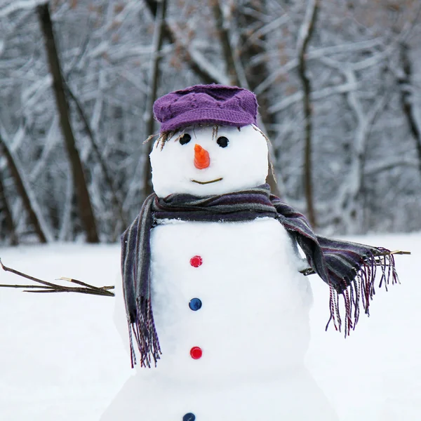 Happy snowman — Stock Photo, Image