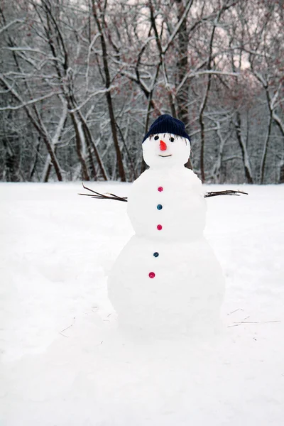 Snow man standing close up — стоковое фото