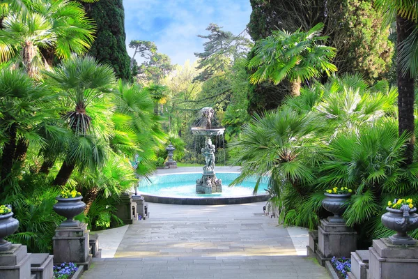 Spazierweg in einem wunderschönen Park mit Palmen, Thuja und Brunnen — Stockfoto