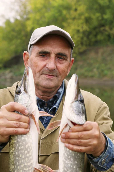 Velho pescador e a sua captura - dois lúcios — Fotografia de Stock