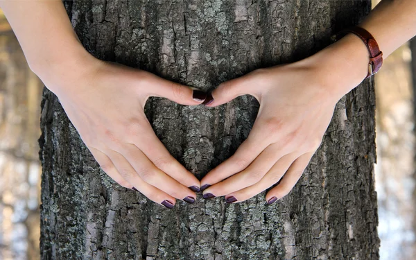 Frauenhände formen ein Herz auf einem Baumstamm. große e — Stockfoto