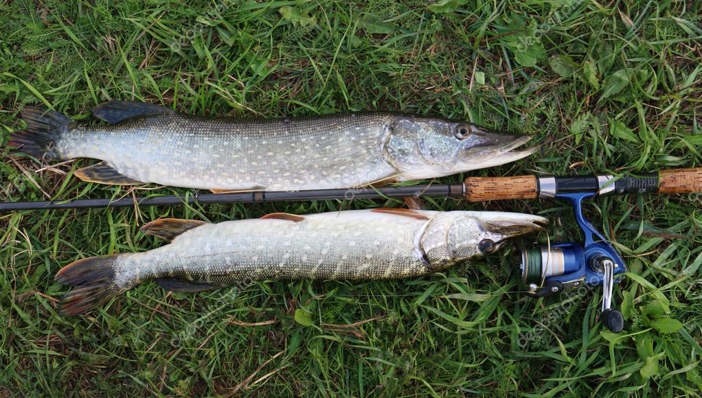 pike fishing tackle