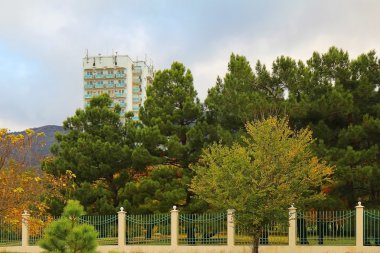 sonbahar başında Park