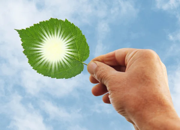 Mano tenuta concetto di energia verde, tagliare le foglie delle piante — Foto Stock