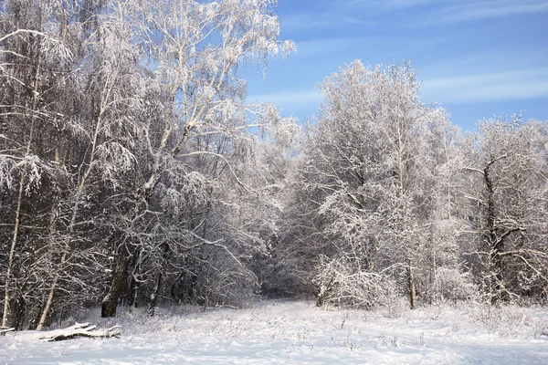 Landschap in sneeuw tegen blauwe hemel. winters tafereel. — Stockfoto