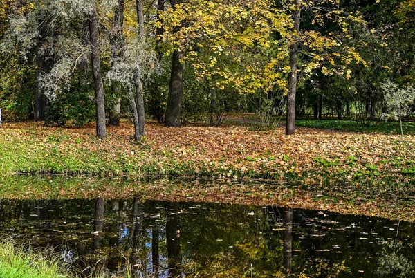 Floresta de outono e reflexão no lago. Cena dramática incomum. Folhas vermelhas e amarelas de outono. Mundo da beleza. — Fotografia de Stock