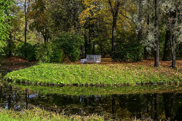 Silêncio. banco para privacidade. contemplação. floresta de outono e reflexão no lago. Cena dramática incomum. Folhas vermelhas e amarelas de outono. Mundo da beleza. — Fotografia de Stock