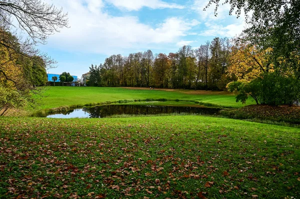 Relva. floresta de outono e reflexão no lago. Cena dramática incomum. Folhas vermelhas e amarelas de outono. Mundo da beleza. — Fotografia de Stock