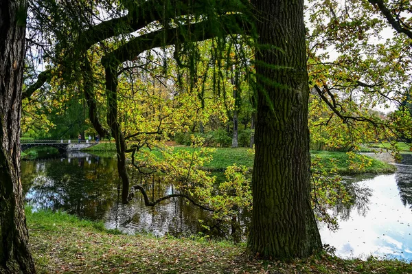 가을 숲과 호수에 반영. 극적 인 특이 한 장면입니다. 빨간색과 노란색의 가을 잎입니다. 아름다움의 세계. — 스톡 사진