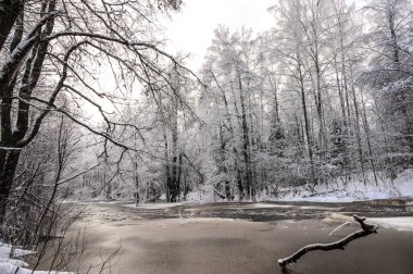 Karlı kış nehri. Güzel karlı ağaç dalları