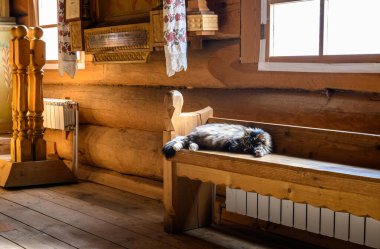 Kilisenin içinde. Dünya dinleri. Kedi bankta, taviz.