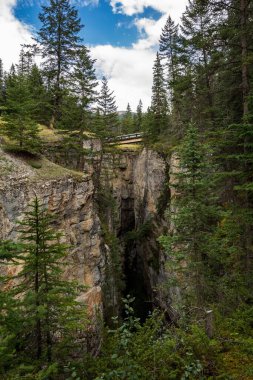 Maligne Canyon Şelalesi, güzel bir vadi, birçok renk. Jasper Ulusal Parkı