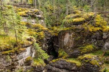 Maligne Canyon Şelalesi, güzel bir vadi, birçok renk. Jasper Ulusal Parkı