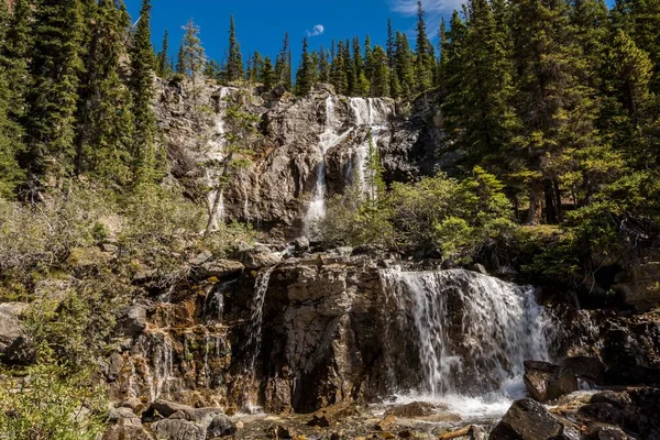 Güzel çağlayan şelale. Jasper Ulusal Parkı 'ndaki Tangle Creek Şelaleleri, Alberta, Kanada