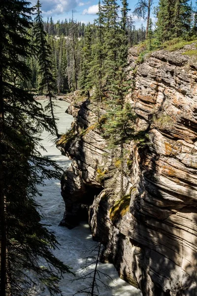 Gorge after the waterfall. Falls Athabasca in a deep canyon in the north of Canada. Jasper, Canada, Athabasca falls, Acefield pkwy, hiking — Stock Photo, Image