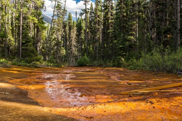 Kootenay Ulusal Parkı, Kanada 'daki Boya Tencereleri. Paslı su akıntısı
