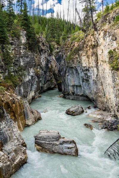 River in the canyon, interesting colors. marble canyon at the Canadian Rockies in the Kootenay National Park canada — Stock Photo, Image