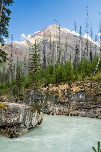 River in the canyon, interesting colors. marble canyon at the Canadian Rockies in the Kootenay National Park canada — Stock Photo, Image