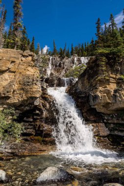 Güzel çağlayan şelale. Jasper Ulusal Parkı 'ndaki Tangle Creek Şelaleleri, Alberta, Kanada