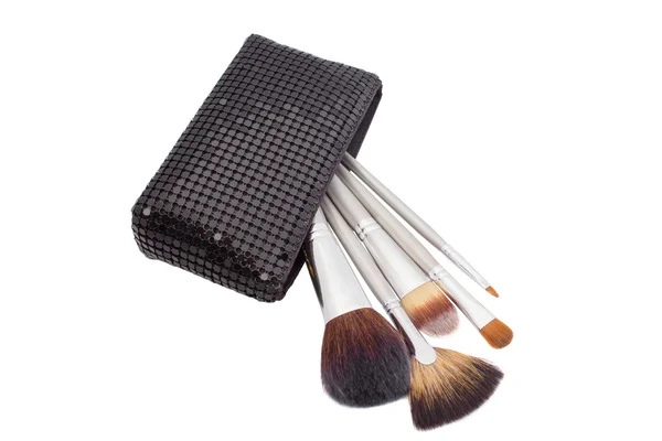 Set Make-up-Pinsel in Tasche isoliert auf weiß — Stockfoto