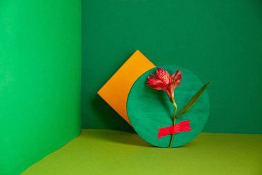 Yeşil stüdyoda taze Alstroemeria çiçeği ve sarı yapışkan notların kompozisyonu