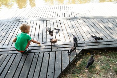 Yaz günü parkta güvercinleri besleyen küçük bir çocuk.