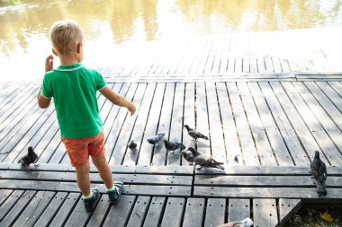 Yaz günü parkta güvercinleri besleyen küçük bir çocuk.