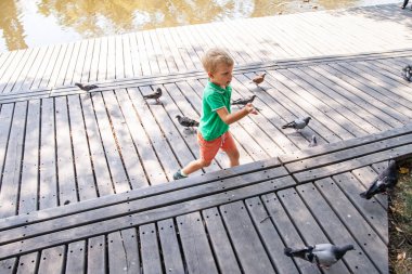 Yaz günü parkta güvercinleri besleyen küçük bir çocuk.