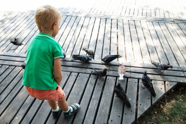 Yaz günü parkta güvercinleri besleyen küçük bir çocuk.