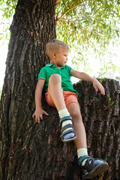 Niño sentado en el árbol en el parque — Foto de Stock