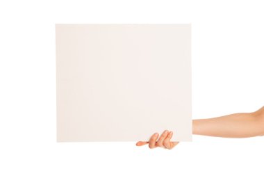 büyük boş kağıdın beyaz ortaya el