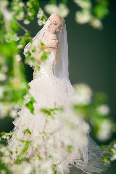 Mooie jonge bruid heeft sluier over haar hoofd en het gezicht. — Stockfoto