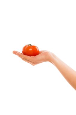 Beyaz izole bir domates tutan el
