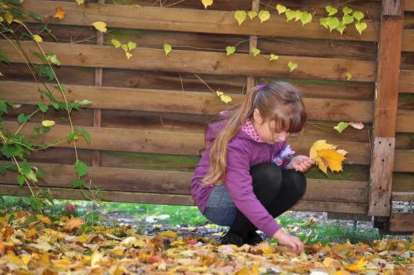 The girl playing with yellow leaves . Autumn . — Stock Photo, Image