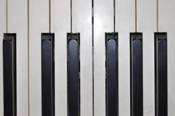 Zongora Kulcsai — Stock Fotó
