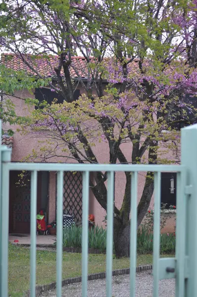 Primavera Cidade — Fotografia de Stock