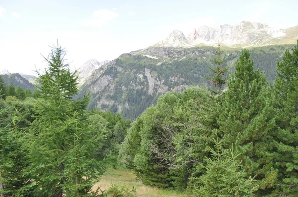 Alguma Vista Sobre Alpes — Fotografia de Stock