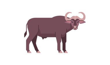 Afrika 5 büyük vahşi hayvan bufalosu sığır familyasının düz stil vektör çizimi beyaz arka planda izole edildi. 