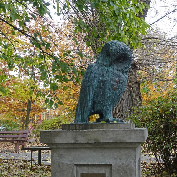 公園内のフクロウの彫刻のクローズアップ — ストック写真